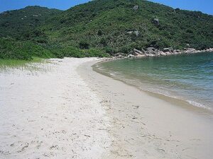 婕佽铏曞崡涓扯娣辩仯淇濊鍗E 1